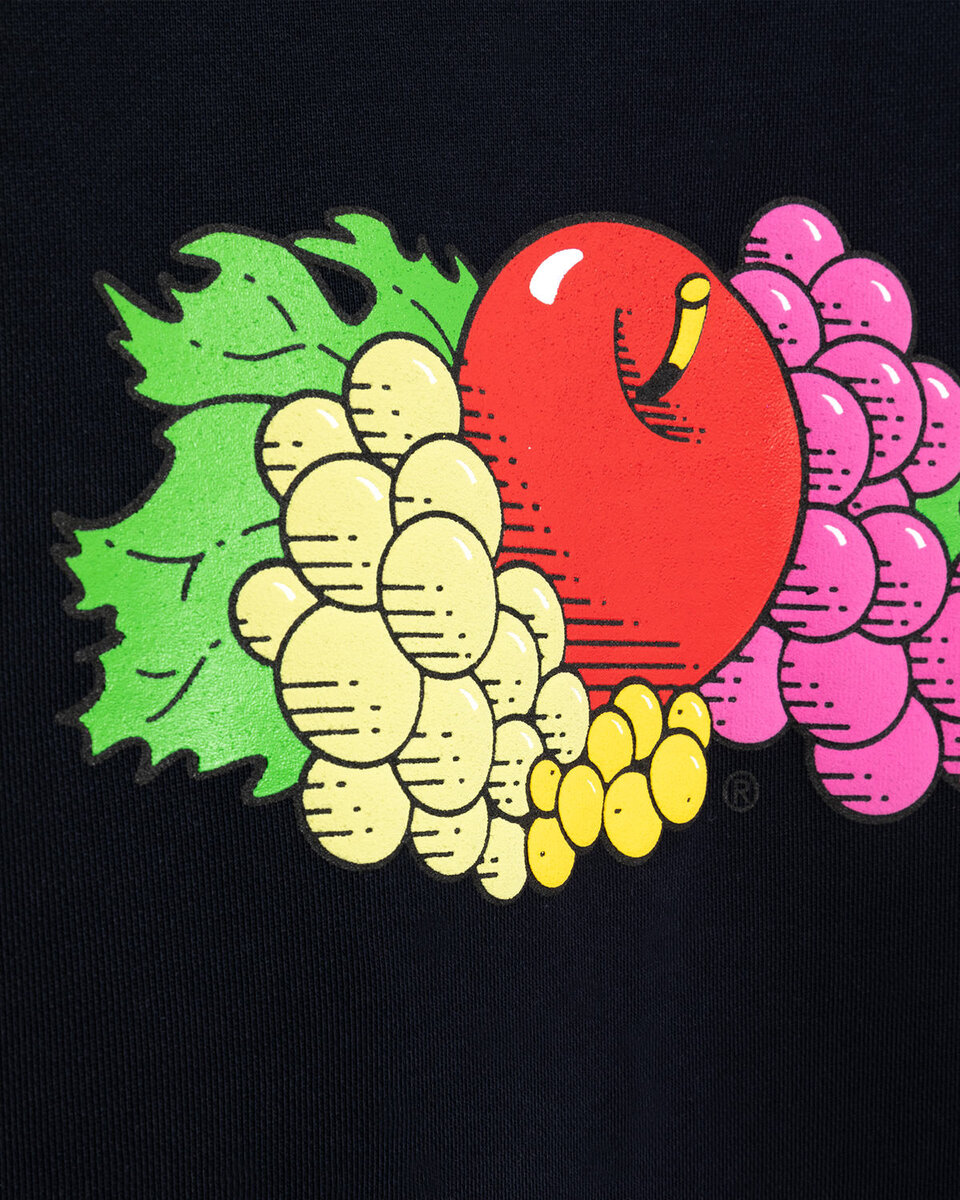 SWEAT-SHIRT FRUIT BLUE