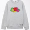 SWEAT-SHIRT FRUIT GRIS